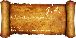 Gündisch Agenór névjegykártya